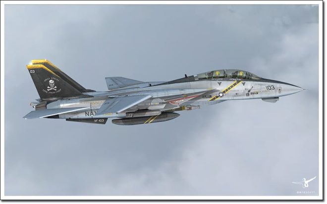 f-14 for p3d