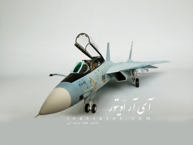 maket F-14