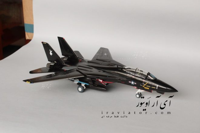 maket f-14