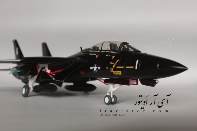 ماکت F-14 Black