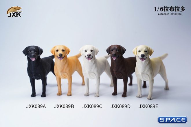 dog figure