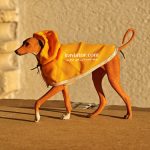 dog model